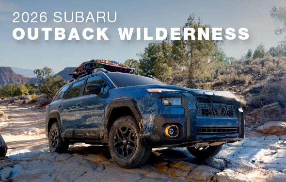 2026 Subaru Outback Wilderness | Sunset Hills Subaru in Sunset Hills MO