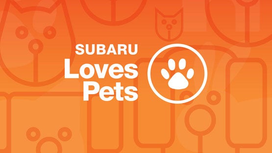 Sunset Hills Subaru in Sunset Hills MO