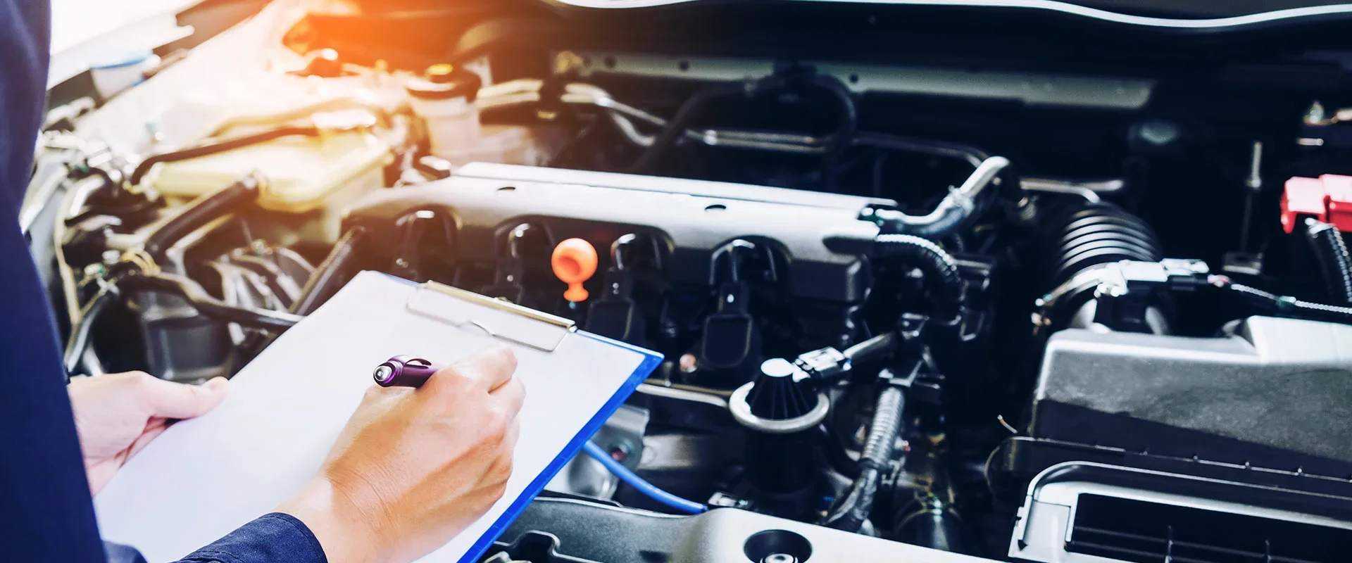 Filter Combo Special