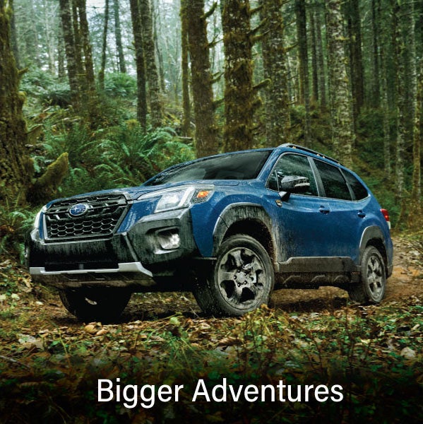 A blue Subaru outback wilderness with the words &ldquo;Bigger Adventures&ldquo;. | Sunset Hills Subaru in Sunset Hills MO