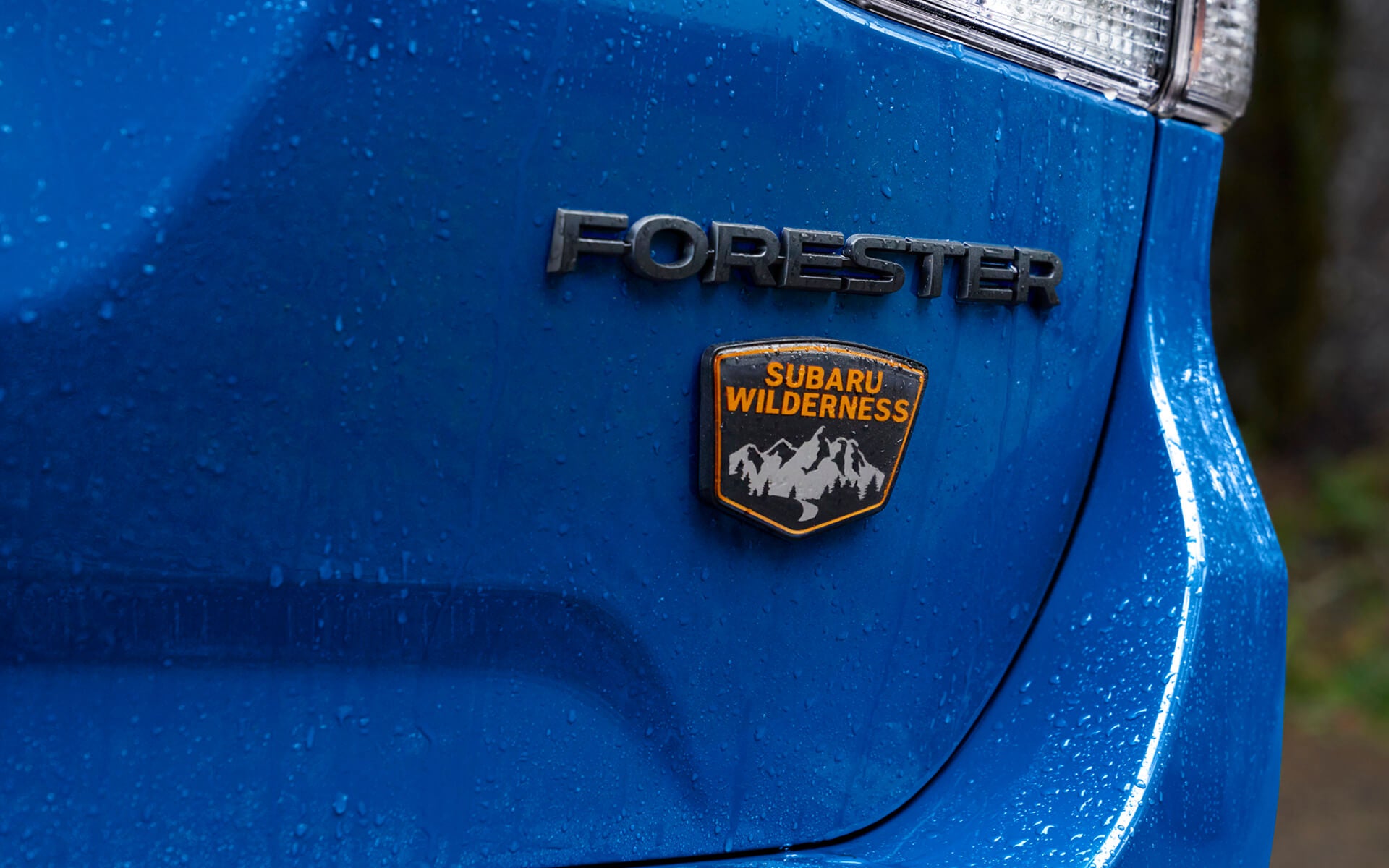 2022 Subaru Forester Wilderness | Sunset Hills Subaru in Sunset Hills MO