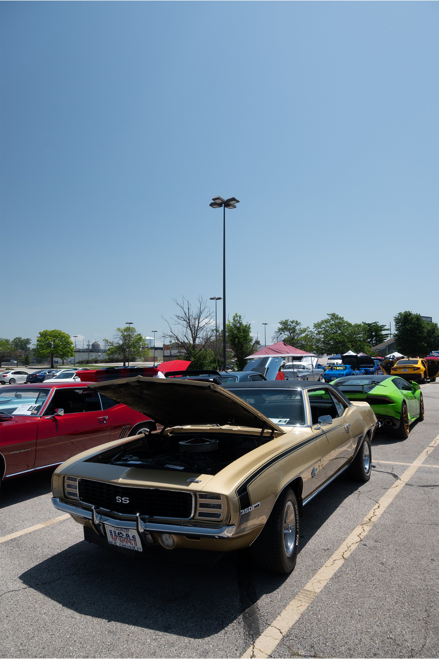 Car Show Photo 15