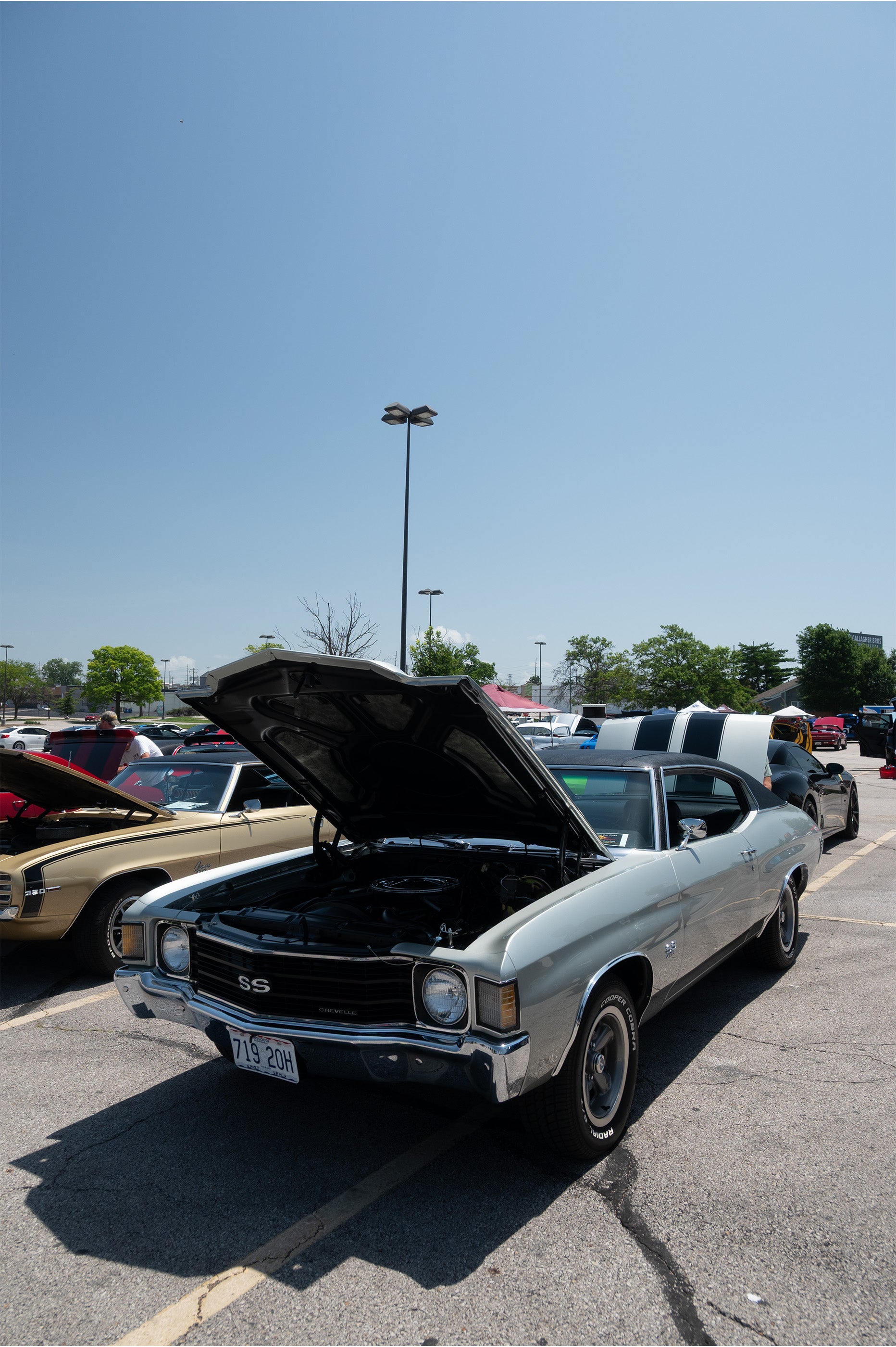 Car Show Photo 17