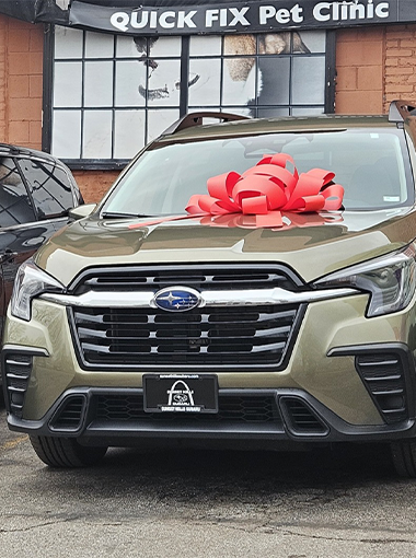 Carol House Sponsorship 2