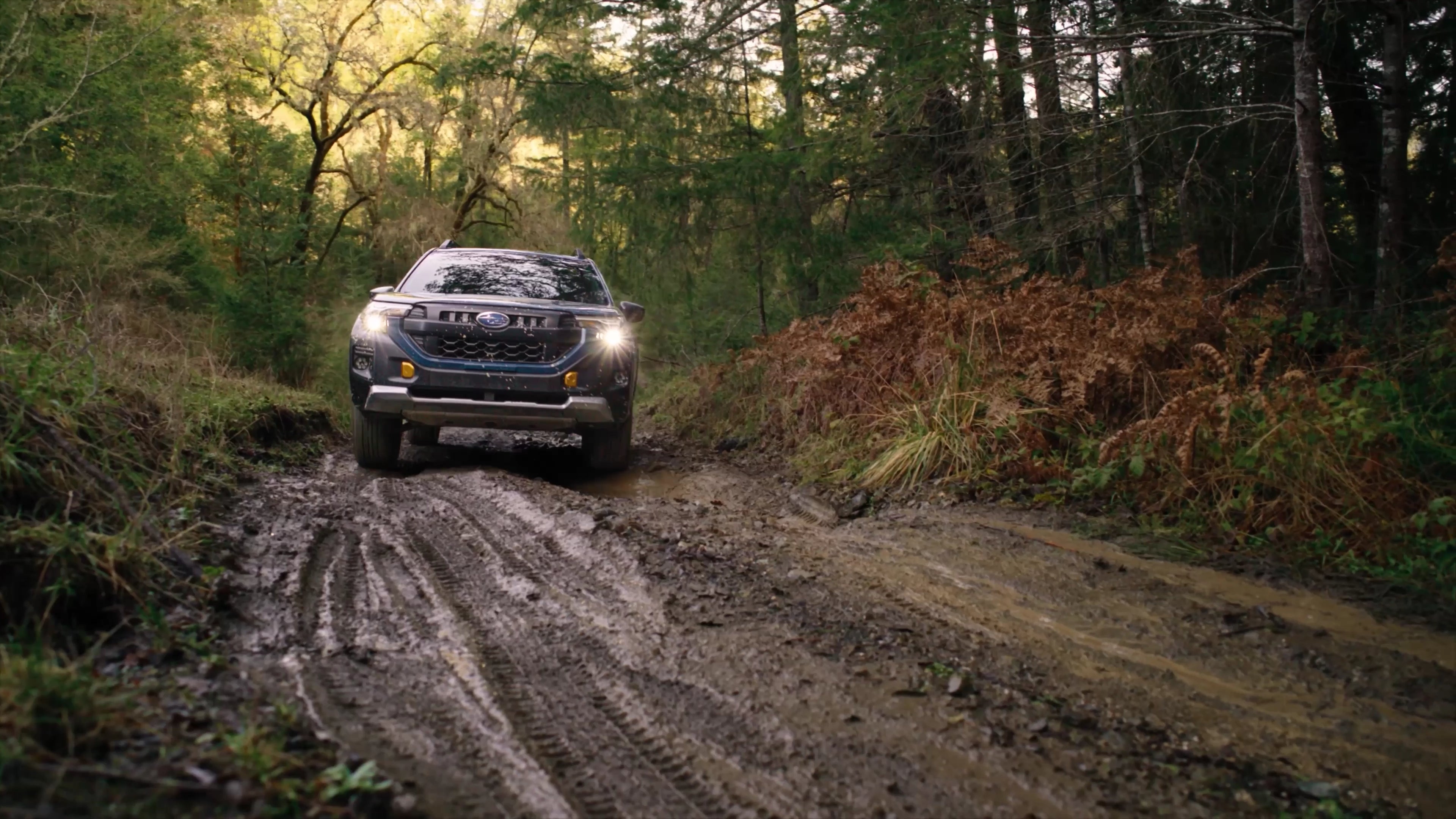 Subaru Forester Wilderness Hybrid
