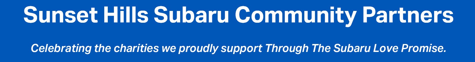 Community Partner Banner