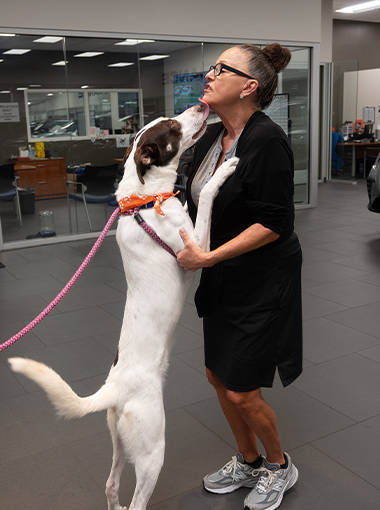 SHS Pet Adoption Event1