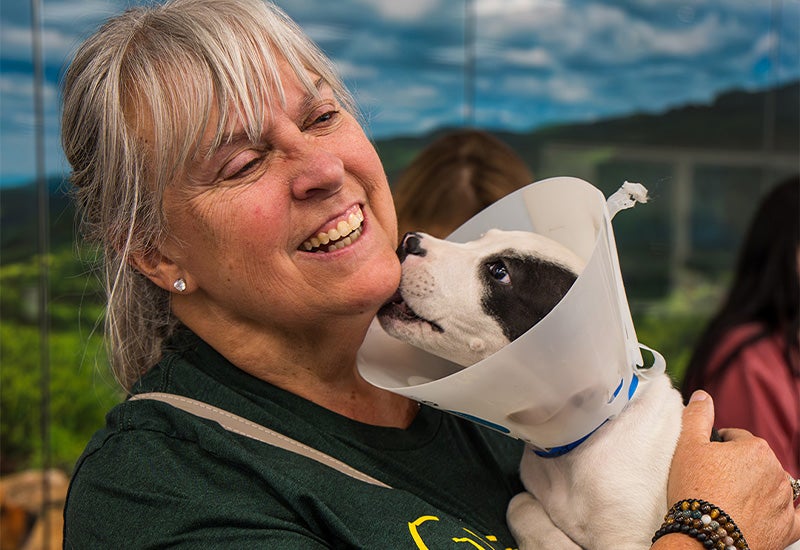 APA pet adoption event
